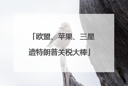 欧盟、苹果、三星遭特朗普关税大棒