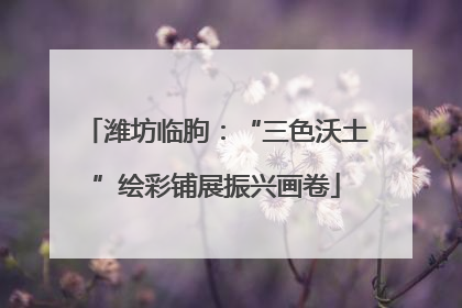 潍坊临朐：“三色沃土”绘彩铺展振兴画卷