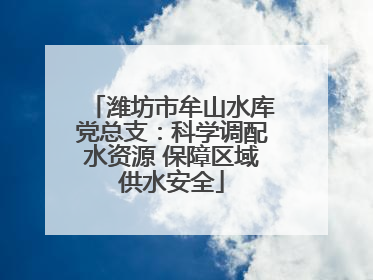 潍坊市牟山水库党总支：科学调配水资源 保障区域供水安全