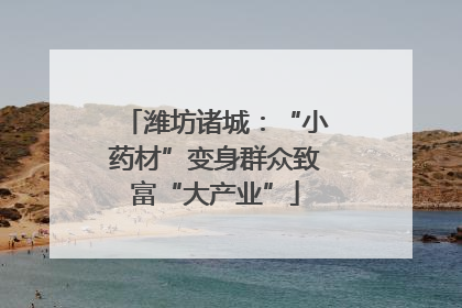 潍坊诸城：“小药材”变身群众致富“大产业”