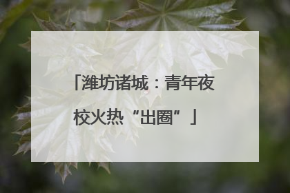 潍坊诸城：青年夜校火热“出圈”