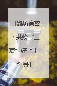 潍坊高密：共绘“三夏”好“丰”景