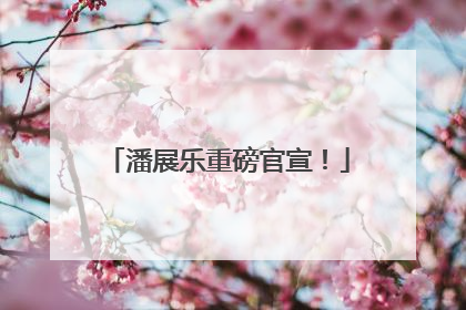潘展乐重磅官宣！