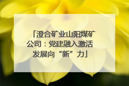 澄合矿业山阳煤矿公司：党建融入激活发展向“新”力