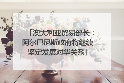 澳大利亚贸易部长：阿尔巴尼斯政府将继续坚定发展对华关系