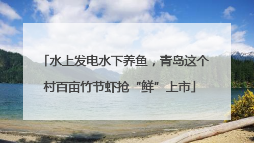 水上发电水下养鱼，青岛这个村百亩竹节虾抢“鲜”上市