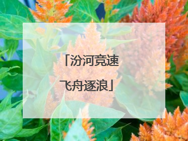 汾河竞速 飞舟逐浪