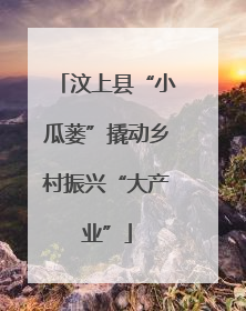 汶上县“小瓜蒌”撬动乡村振兴“大产业”