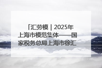 汇劳模｜2025年上海市模范集体——国家税务总局上海市徐汇区税务局第一税务所