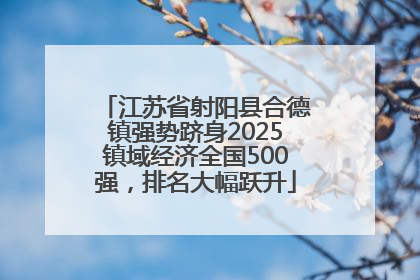 江苏省射阳县合德镇强势跻身2025镇域经济全国500强，排名大幅跃升