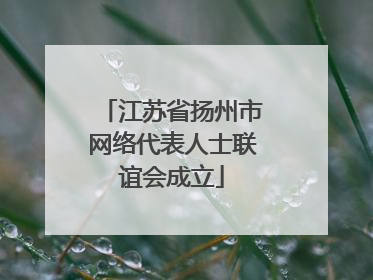 江苏省扬州市网络代表人士联谊会成立