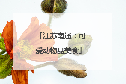 江苏南通：可爱动物品美食