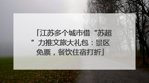 江苏多个城市借“苏超”力推文旅大礼包：景区免票，餐饮住宿打折