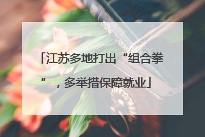 江苏多地打出“组合拳”，多举措保障就业