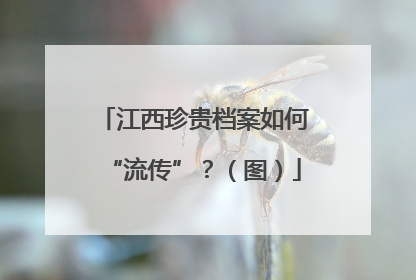 江西珍贵档案如何“流传”？（图）