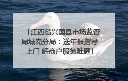 江西省兴国县市场监管局城岗分局：送年报指导上门 解商户服务难题