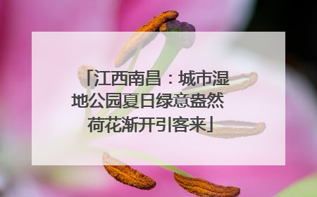 江西南昌：城市湿地公园夏日绿意盎然 荷花渐开引客来