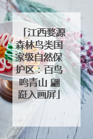 江西婺源森林鸟类国家级自然保护区：百鸟鸣青山 翩跹入画屏