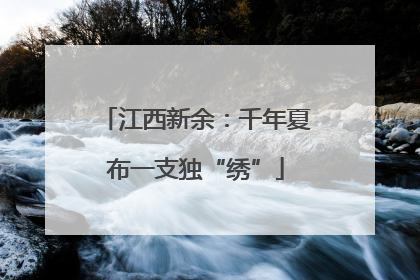 江西新余：千年夏布一支独“绣”