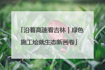 沿着高速看吉林｜绿色施工绘就生态新画卷