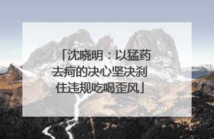 沈晓明：以猛药去疴的决心坚决刹住违规吃喝歪风