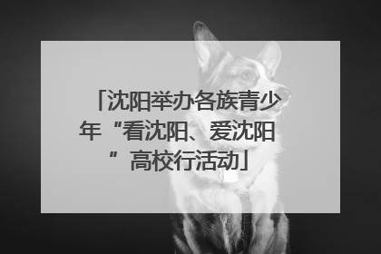沈阳举办各族青少年“看沈阳、爱沈阳”高校行活动