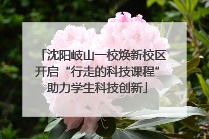 沈阳岐山一校焕新校区开启“行走的科技课程”助力学生科技创新