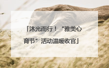 沐光而行！“雅美心育节”活动温暖收官
