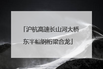 沪杭高速长山河大桥东半幅钢桁梁合龙