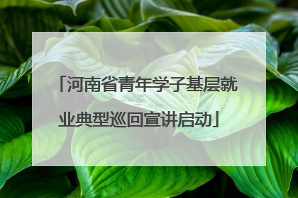 河南省青年学子基层就业典型巡回宣讲启动