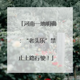 河南一地明确：“老头乐”禁止上路行驶！