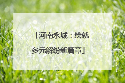 河南永城：绘就多元解纷新篇章