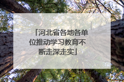 河北省各地各单位推动学习教育不断走深走实