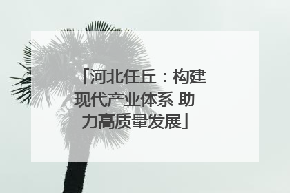 河北任丘：构建现代产业体系 助力高质量发展