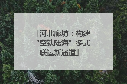 河北廊坊：构建“空铁陆海”多式联运新通道