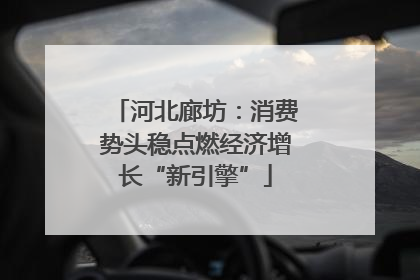 河北廊坊：消费势头稳点燃经济增长“新引擎”