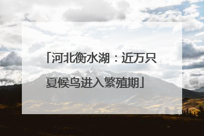 河北衡水湖：近万只夏候鸟进入繁殖期