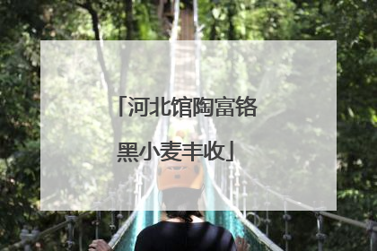 河北馆陶富铬黑小麦丰收