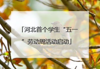 河北首个学生“五一”劳动周活动启动