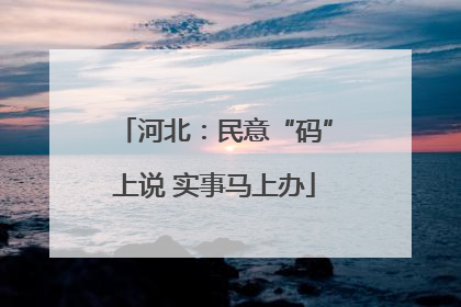 河北：民意“码”上说 实事马上办