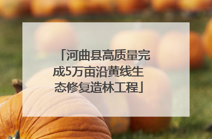 河曲县高质量完成5万亩沿黄线生态修复造林工程