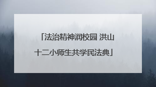 法治精神润校园 洪山十二小师生共学民法典