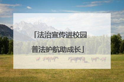 法治宣传进校园 普法护航助成长