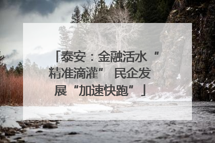 泰安：金融活水“精准滴灌” 民企发展“加速快跑”
