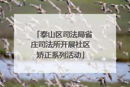 泰山区司法局省庄司法所开展社区矫正系列活动