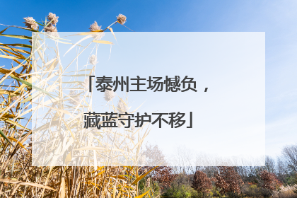 泰州主场憾负，藏蓝守护不移