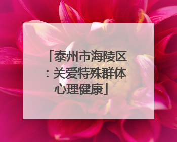 泰州市海陵区：关爱特殊群体心理健康