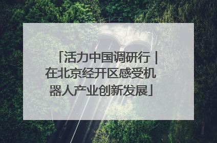 活力中国调研行｜在北京经开区感受机器人产业创新发展