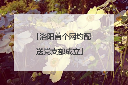 洛阳首个网约配送党支部成立
