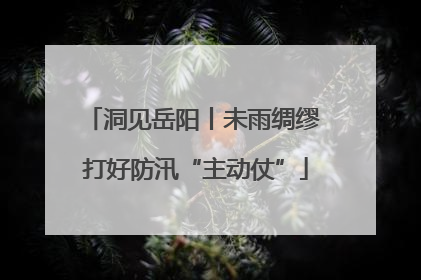 洞见岳阳丨未雨绸缪 打好防汛“主动仗”